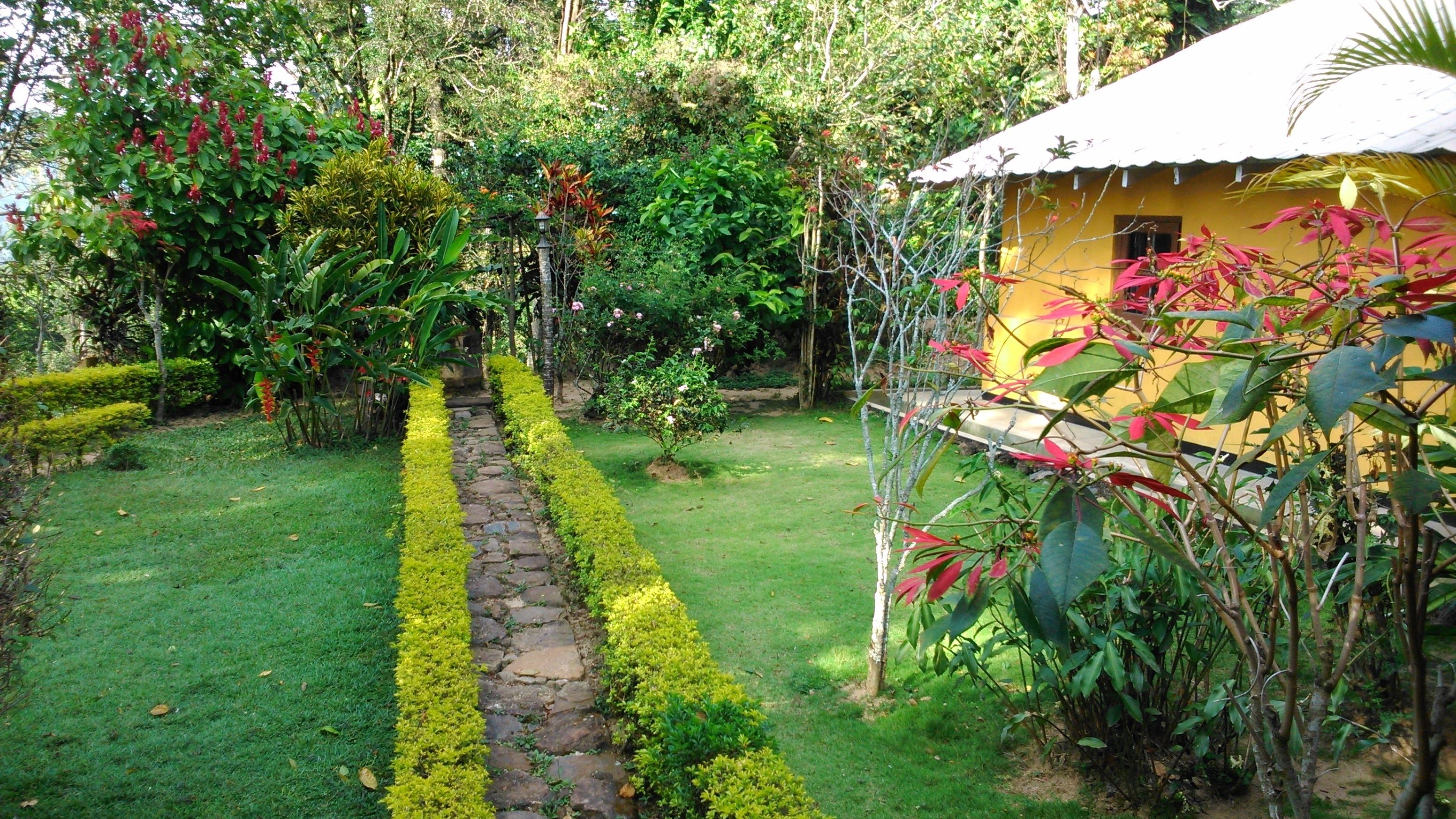 A garden with a stone pathway, lush greenery, and a yellow building.