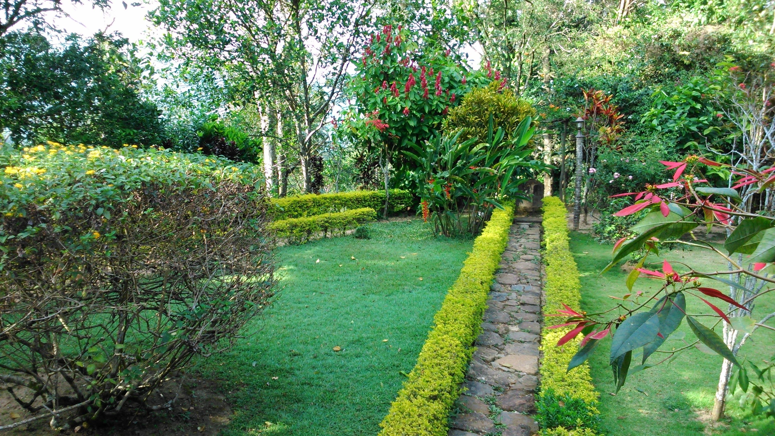 Un jardin avec un chemin de pierres, des haies soigneusement taillées et diverses plantes.