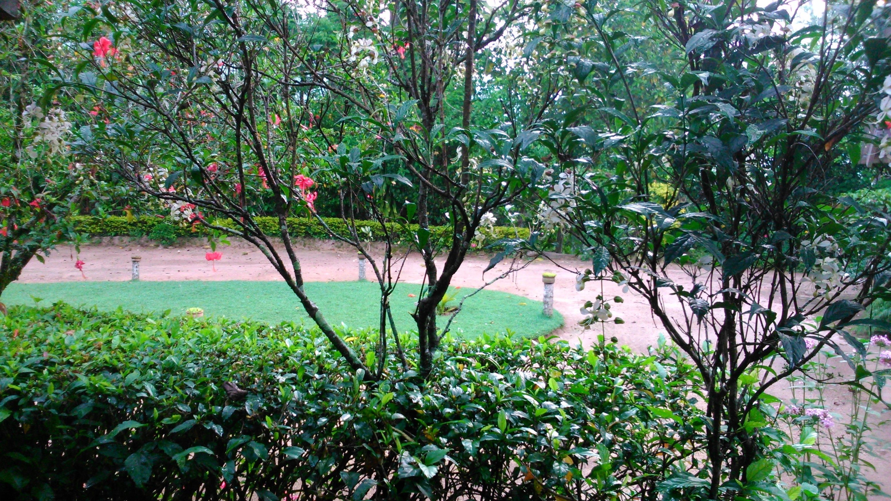 Un jardín con varios árboles y arbustos, un césped bien cuidado y un sendero de piedra.