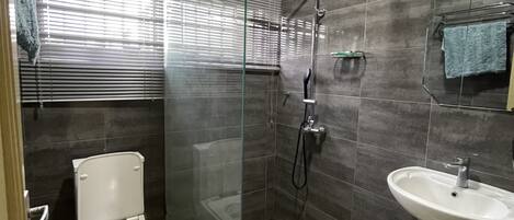 A modern bathroom with a glass-enclosed shower, a toilet, a sink, and a mirror.
