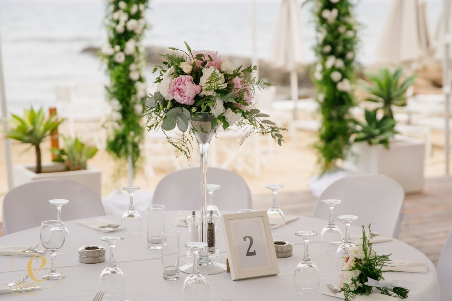 Outdoor wedding area