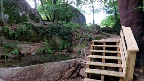 Una escalera de madera baja hacia un pequeño arroyo en un área boscosa con rocas cubiertas de musgo y helechos.
