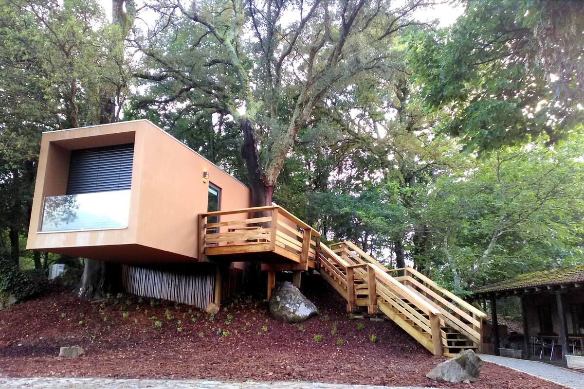 Une cabane moderne perchée dans un arbre, dotée d’un escalier en bois et d’un petit balcon.