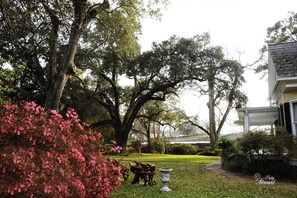 Property grounds - Clermont Bluffs B&B (Natchez)
