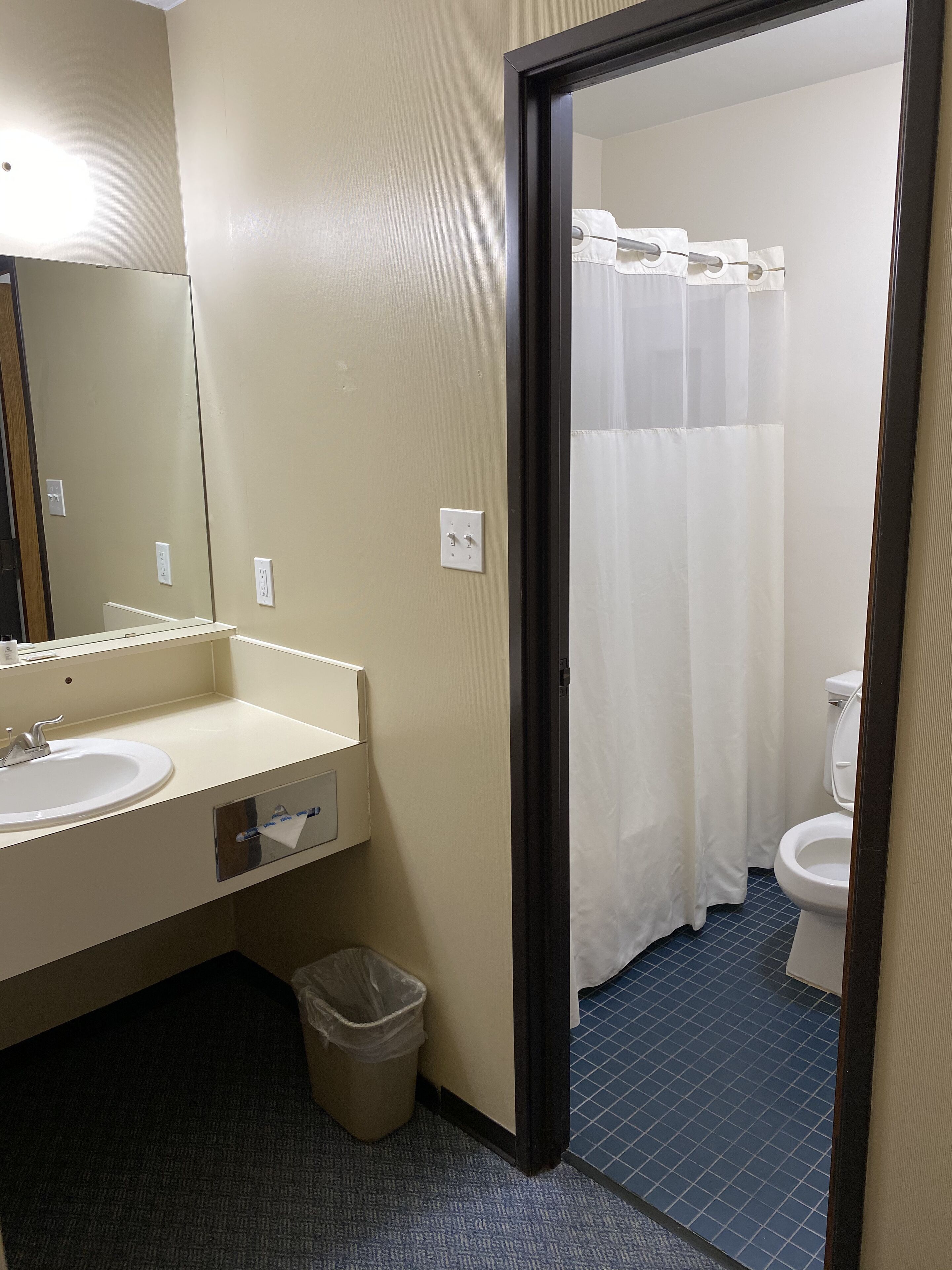 A bathroom with a sink, mirror, and toilet.