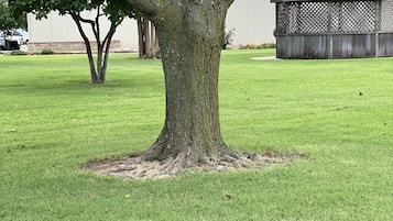 Mặt tiền nơi lưu trú