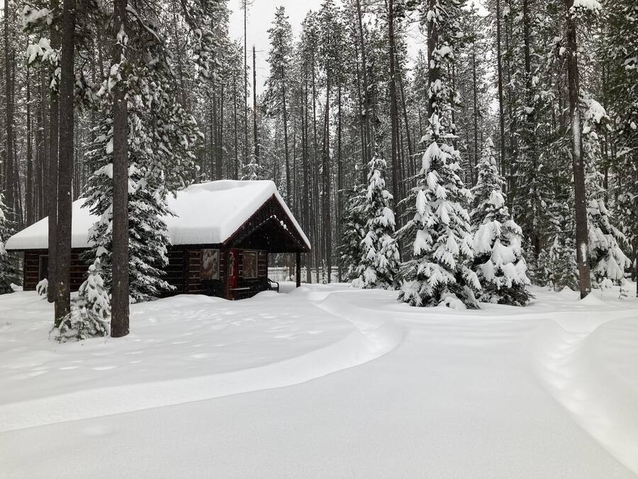 A cabin surrounded by snow-covered trees in a forest.