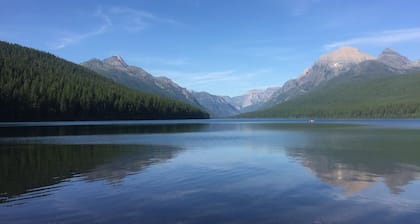 The Reclusive Moose Cabins
