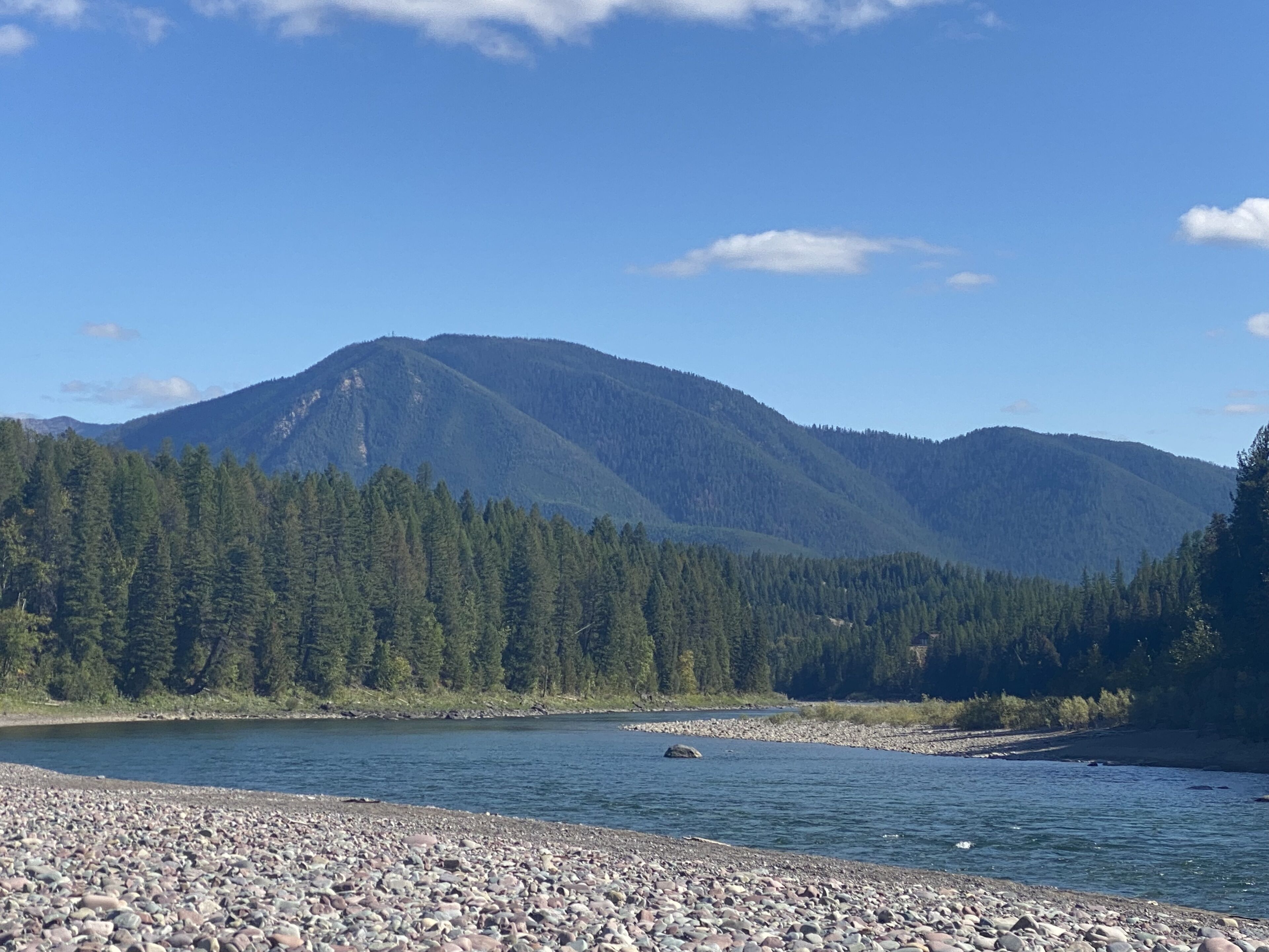 A river with a rocky shore and a forested mountain range in the background.