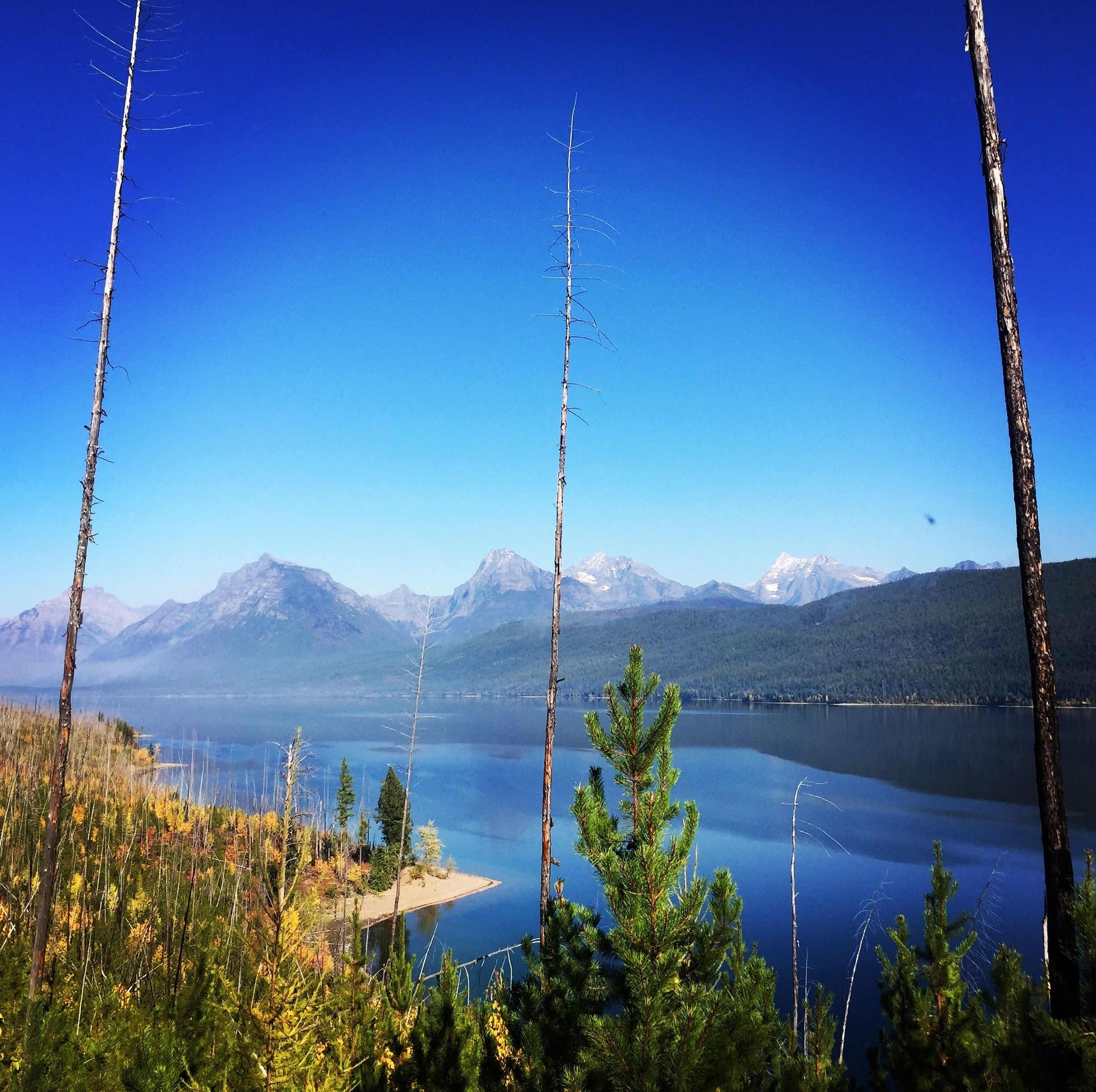 A clear view of a lake with mountains in the background, surrounded by trees.