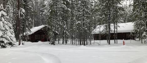 A snow-covered forest with a cabin.