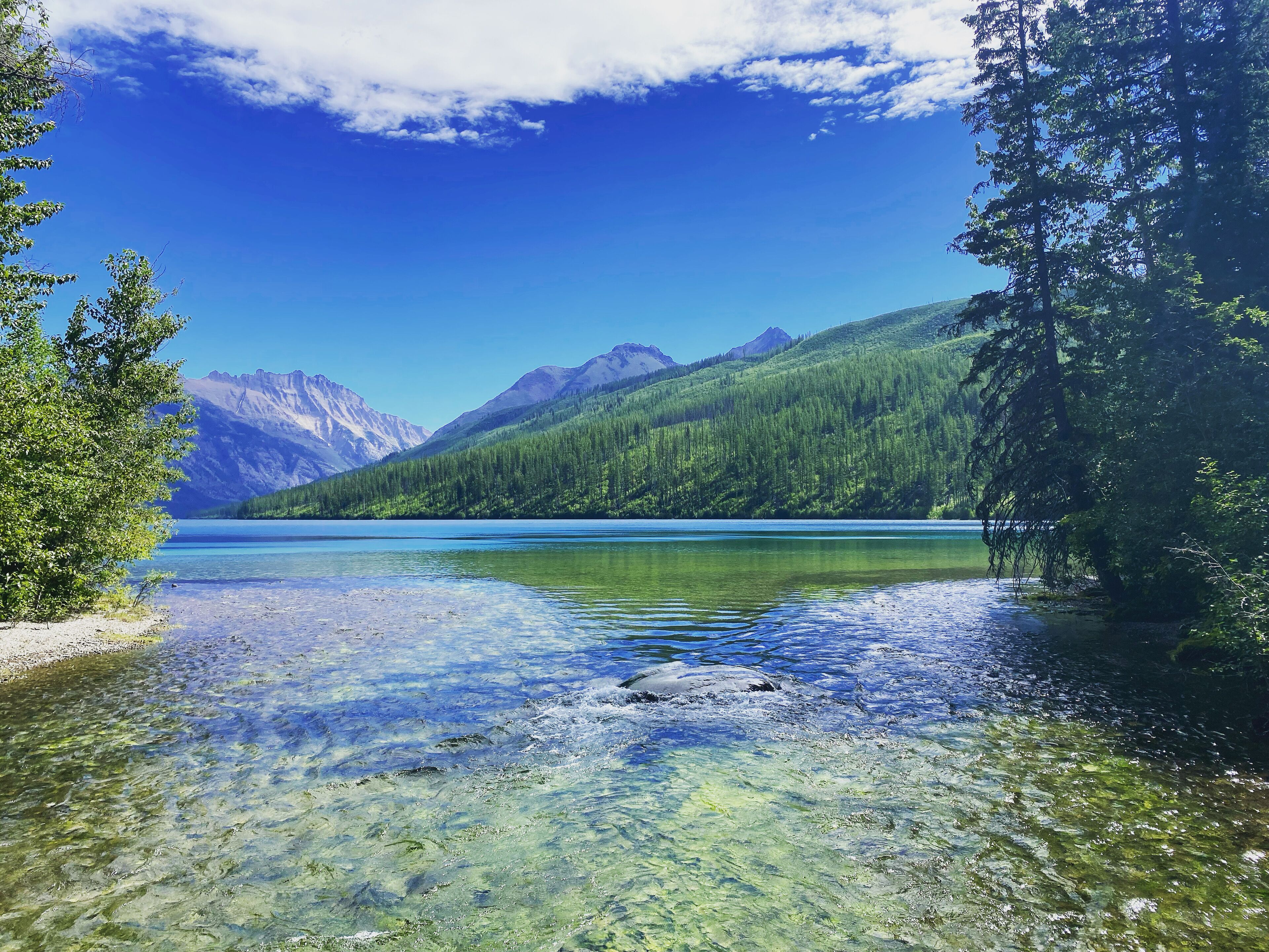 Un lago cristalino rodeado de montañas y árboles.