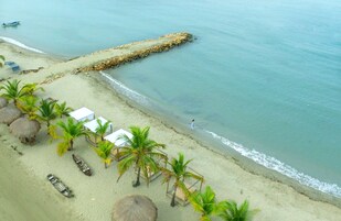 Una playa con cabañas de techo de paja, palmeras y un muelle que se adentra en el agua.