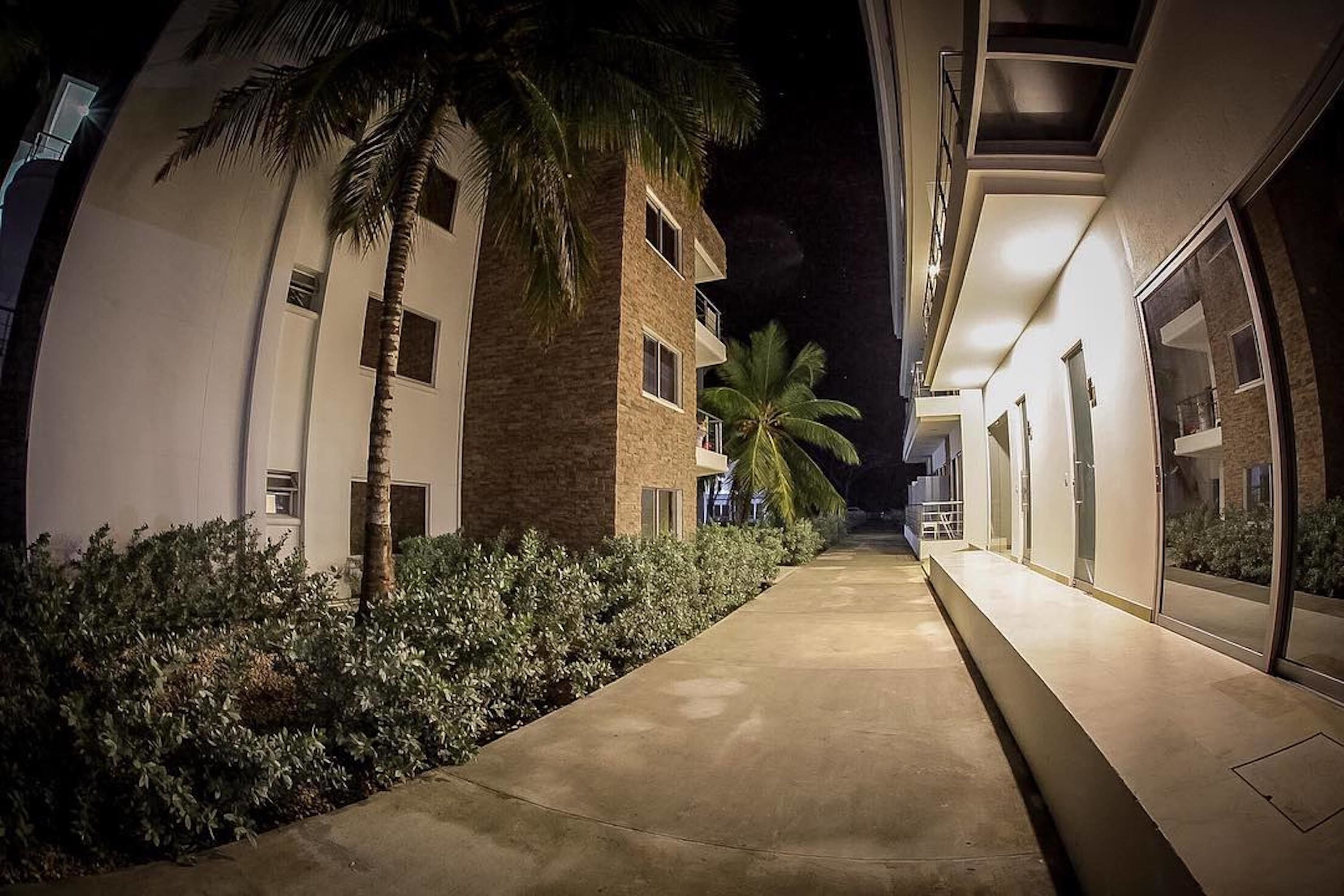 Un pasillo nocturno con una palmera y arbustos, que conduce a un edificio de varios pisos y balcones.