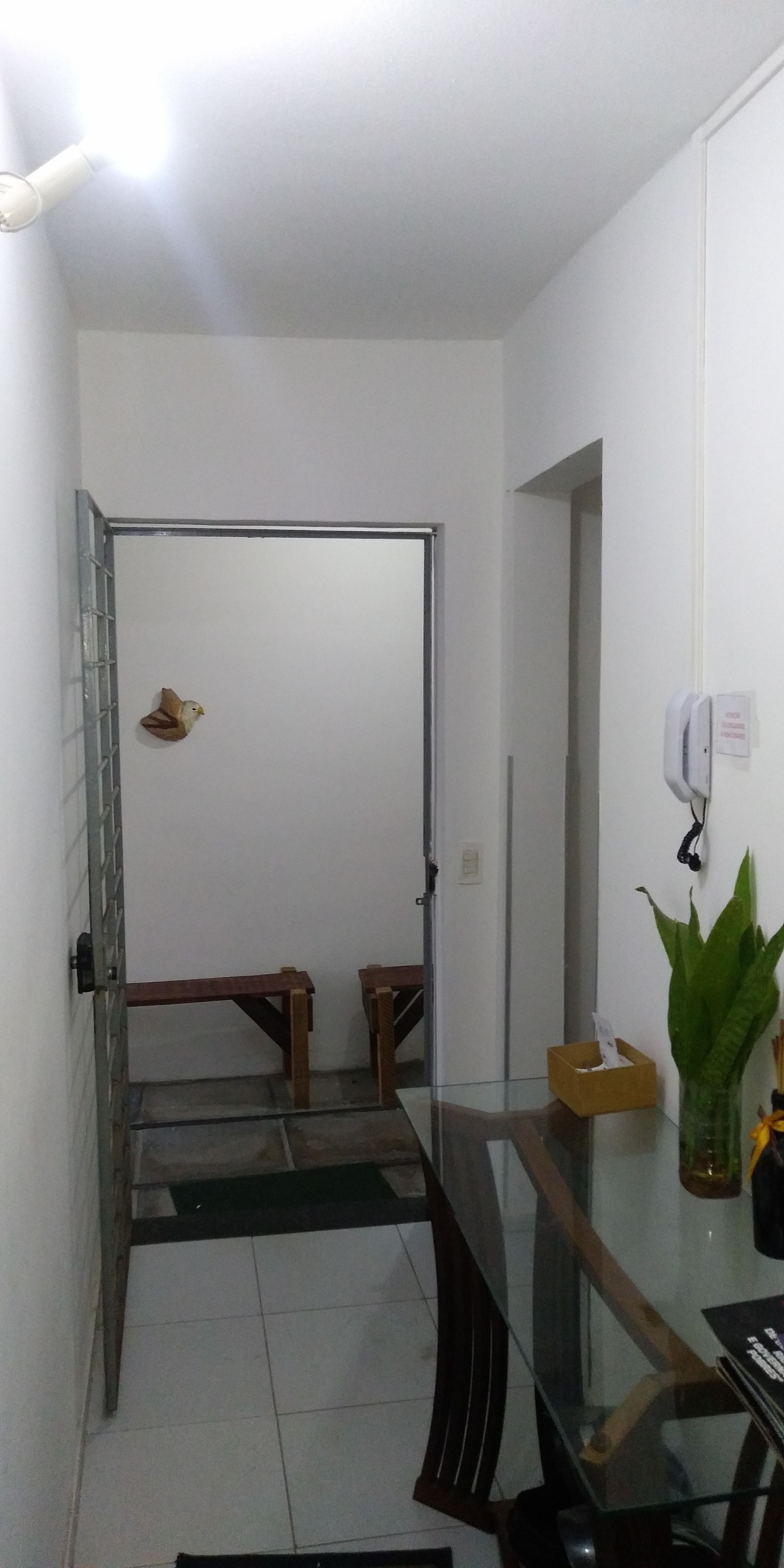 Un pasillo con una mesa de cristal, un banco de madera, una puerta y una planta en maceta.