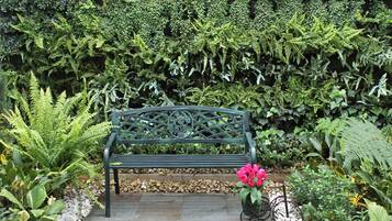 Un banc dans un jardin, entouré de diverses plantes, avec un mur de verdure en arrière-plan.