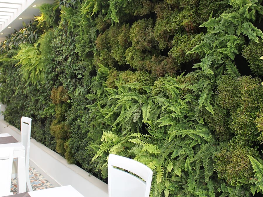 Daily continental breakfast (COP 20000 per person)