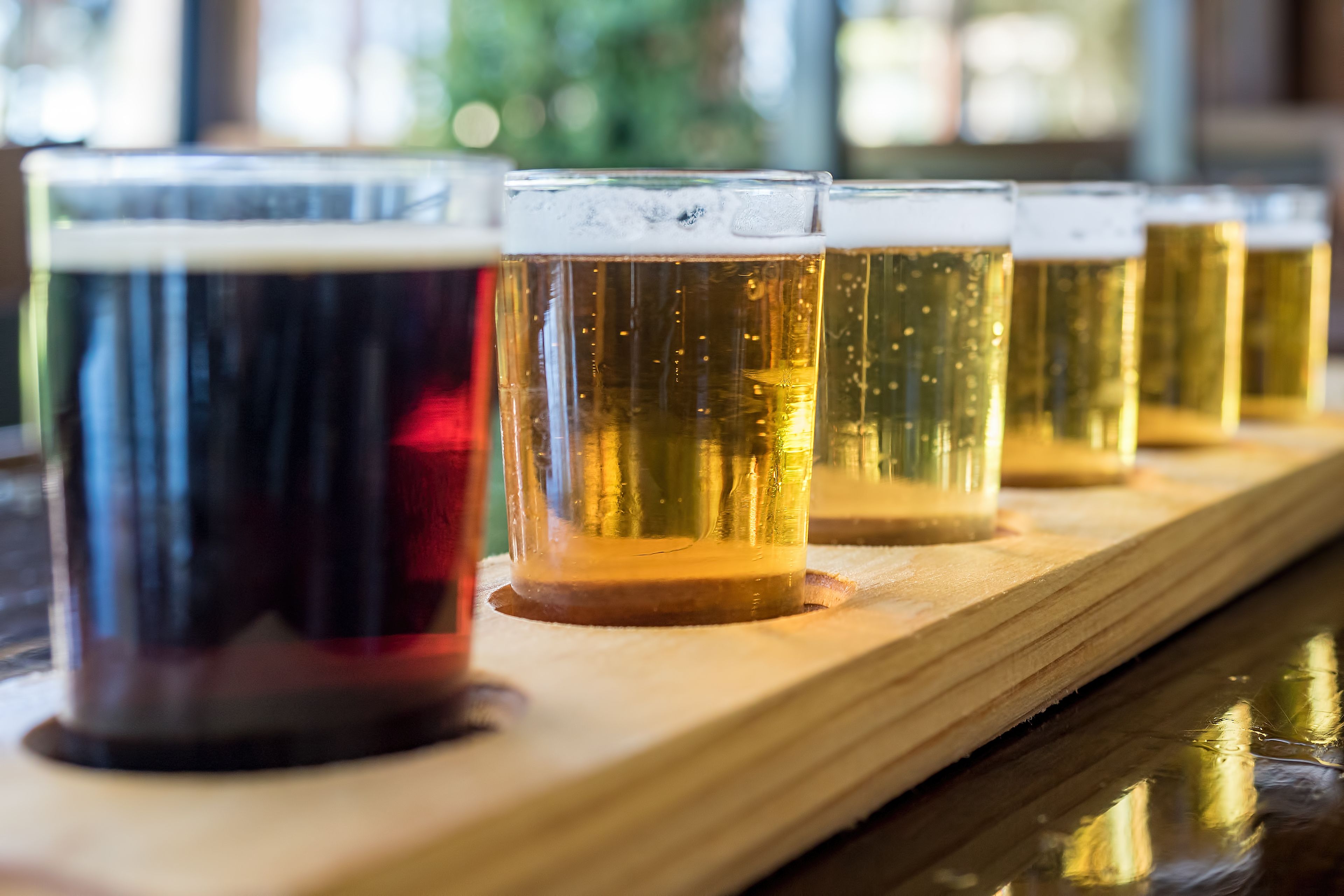 A series of glasses of beer on a wooden tray.