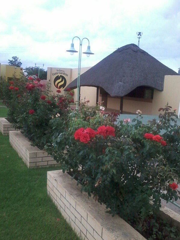 Garden - Stay Afrique Hotel (Bulawayo)