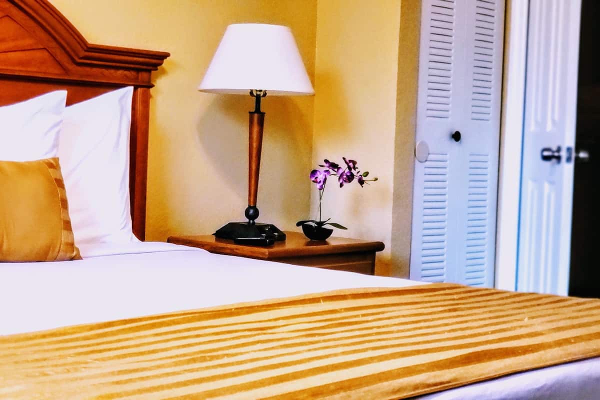 In-room safe, iron/ironing board, free WiFi, bed sheets