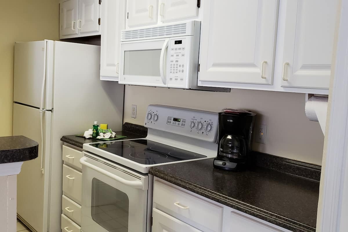 Full-size fridge, microwave, oven, dishwasher