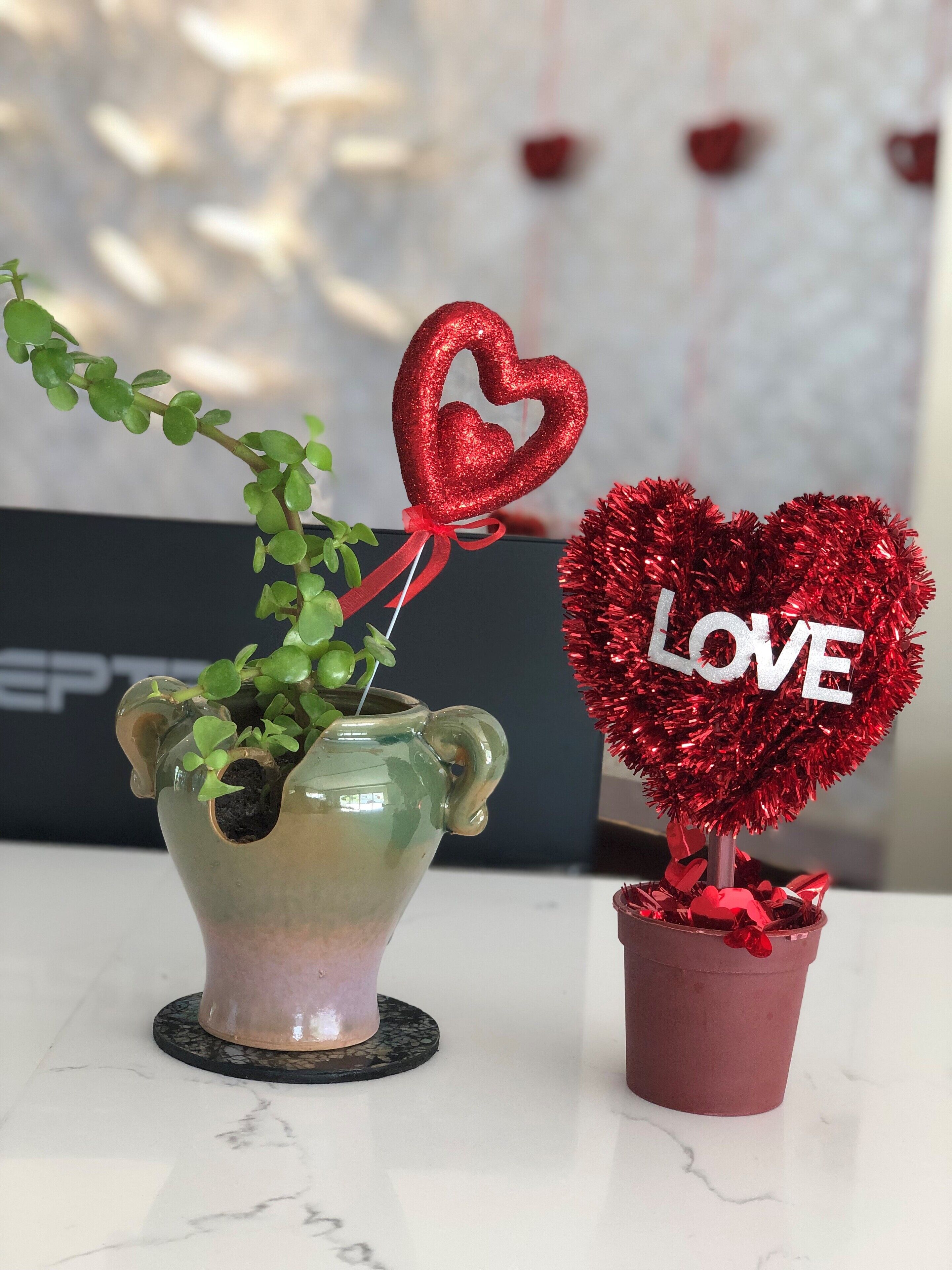 Two potted plants with heart-shaped decorations on a marble surface.