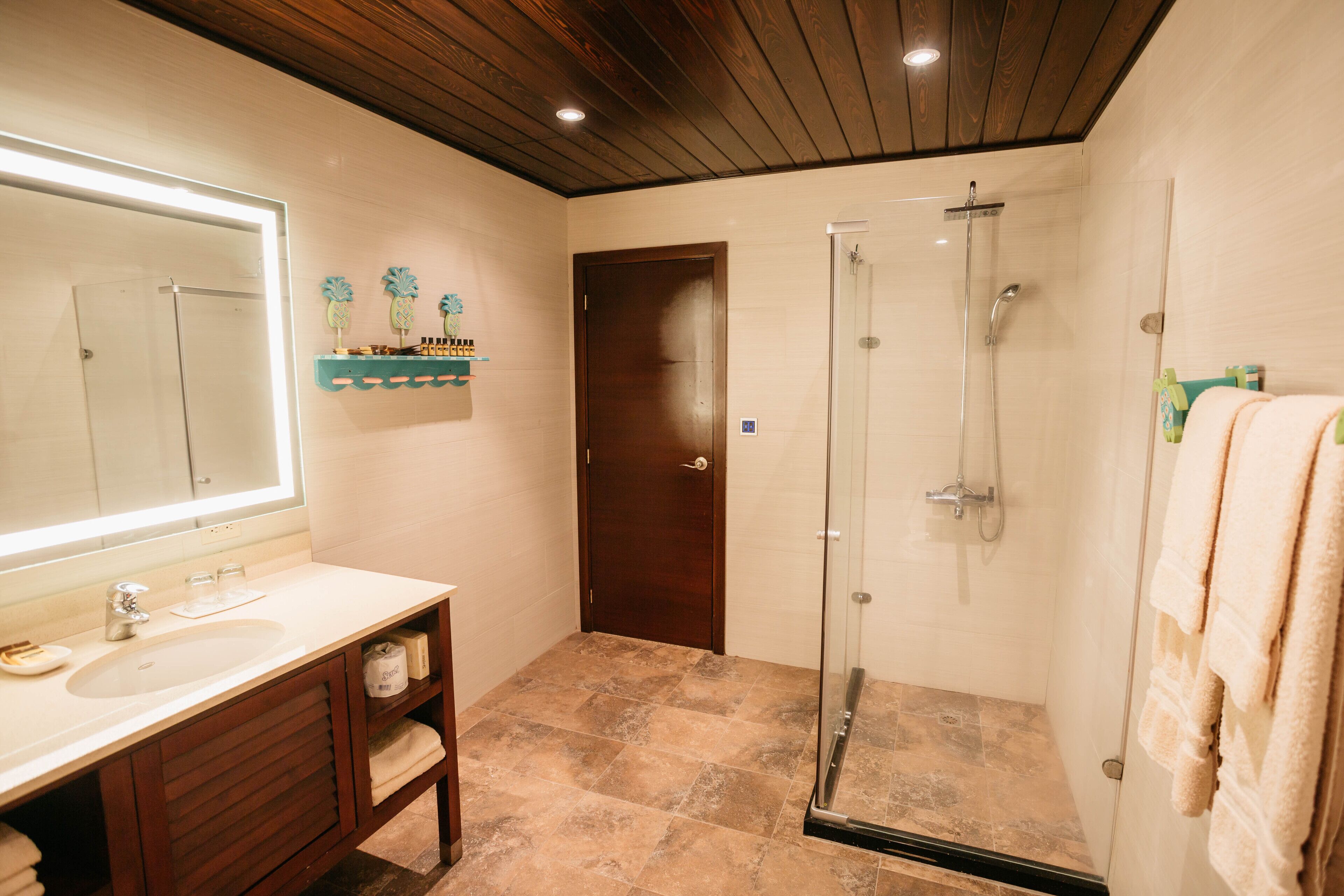 Une salle de bain avec un grand miroir, un lavabo, une douche et une porte en bois.