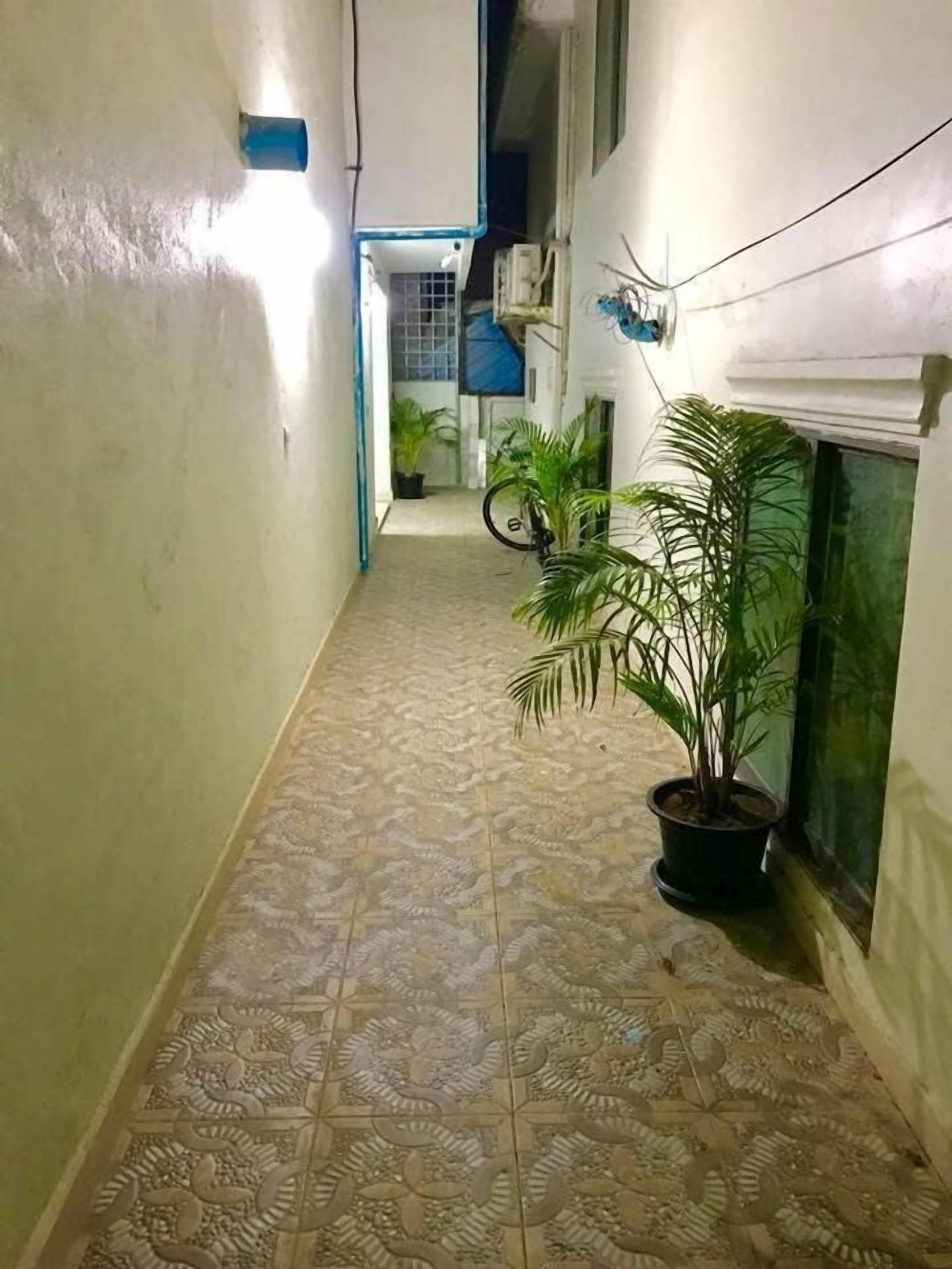 A narrow hallway with patterned floor tiles, a potted plant, and a wall-mounted light fixture.