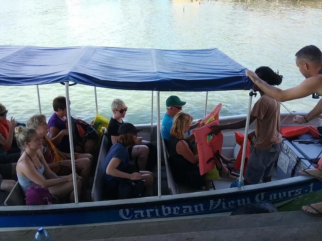 A boat with a blue canopy and the text "Caribbean View Cruise" on the side.