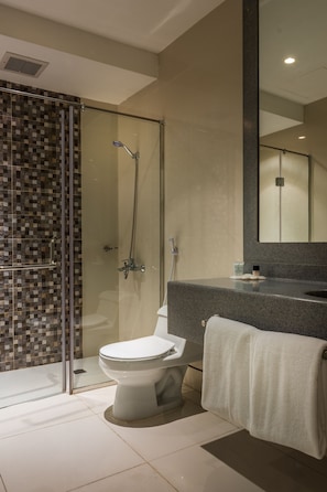 Shower, free toiletries, hair dryer, bathrobes