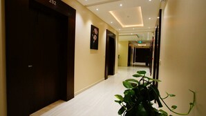 A hotel hallway with dark wooden doors, a potted plant, and a light-colored floor.