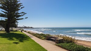 A coastal walkway with a bench, a tree, and a view of the ocean. - Madsen Retreat (Penguin)