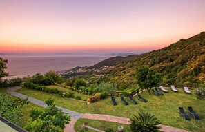 Vista a la montaña