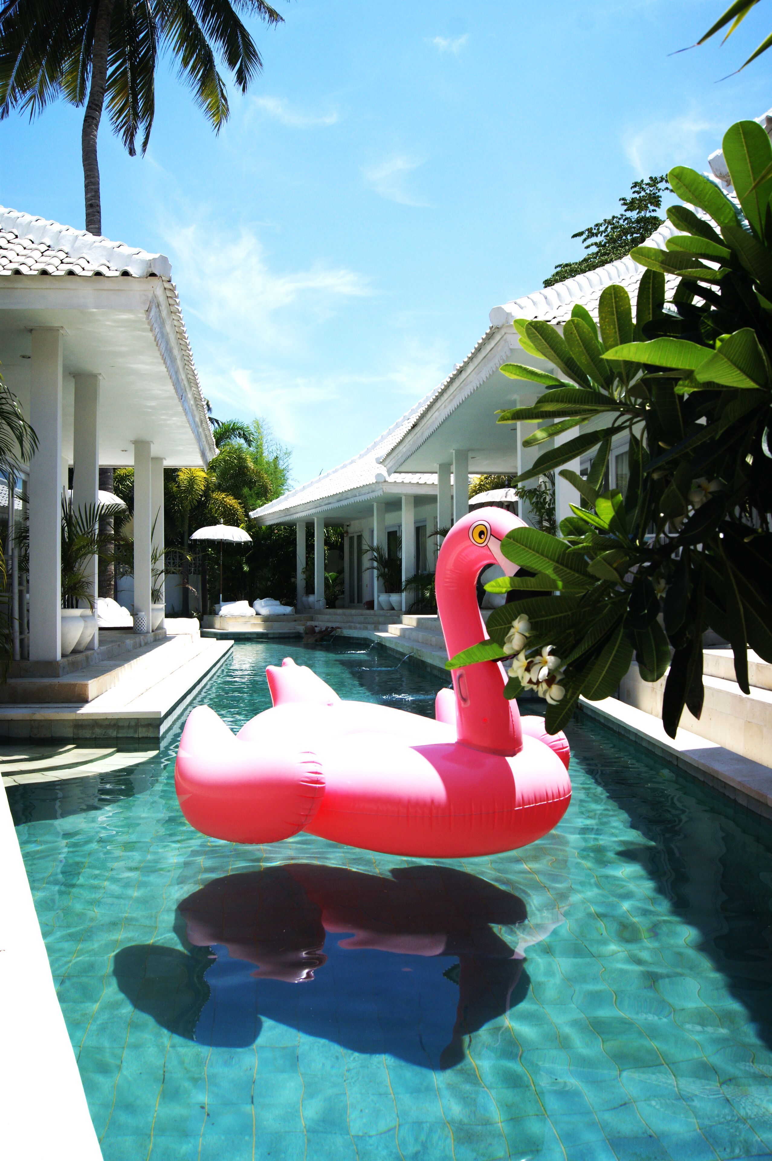 Outdoor pool, pool loungers