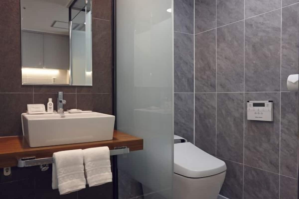 Badezimmer | Dusche, kostenlose Toilettenartikel, Haartrockner, Bademäntel