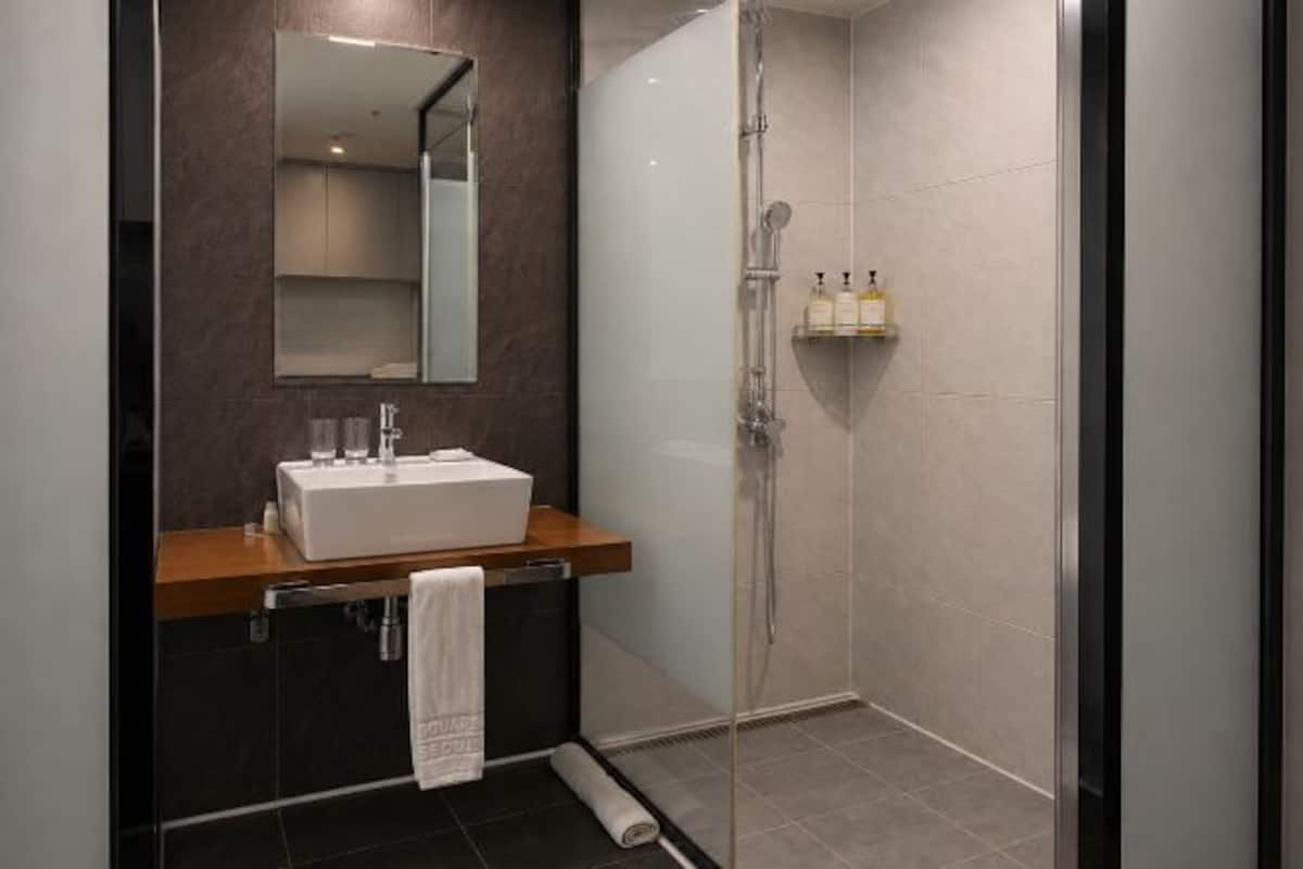Shower, free toiletries, hair dryer, bathrobes