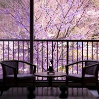 A balcony with two chairs and a small table, overlooking a garden with purple flowers.