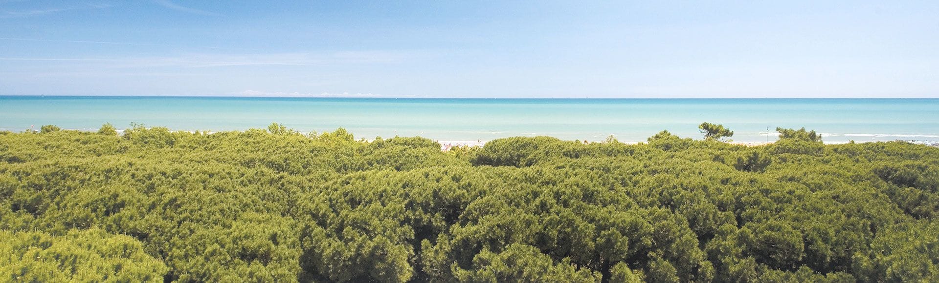 Foto - Hotel Stella Del Mare