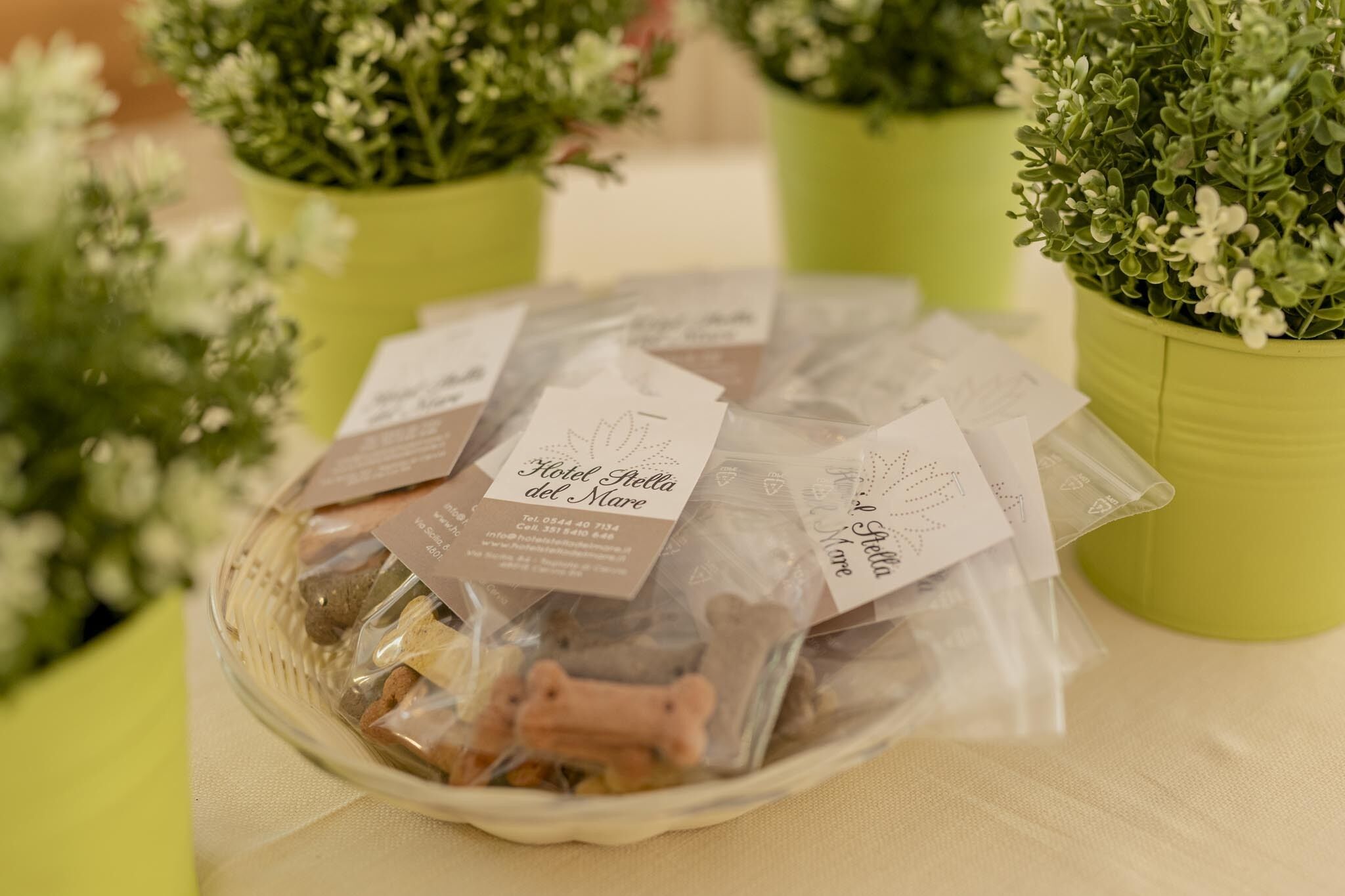 Foto - Hotel Stella Del Mare