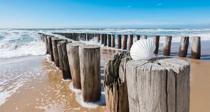Pura Vida Hotel Cuxhaven