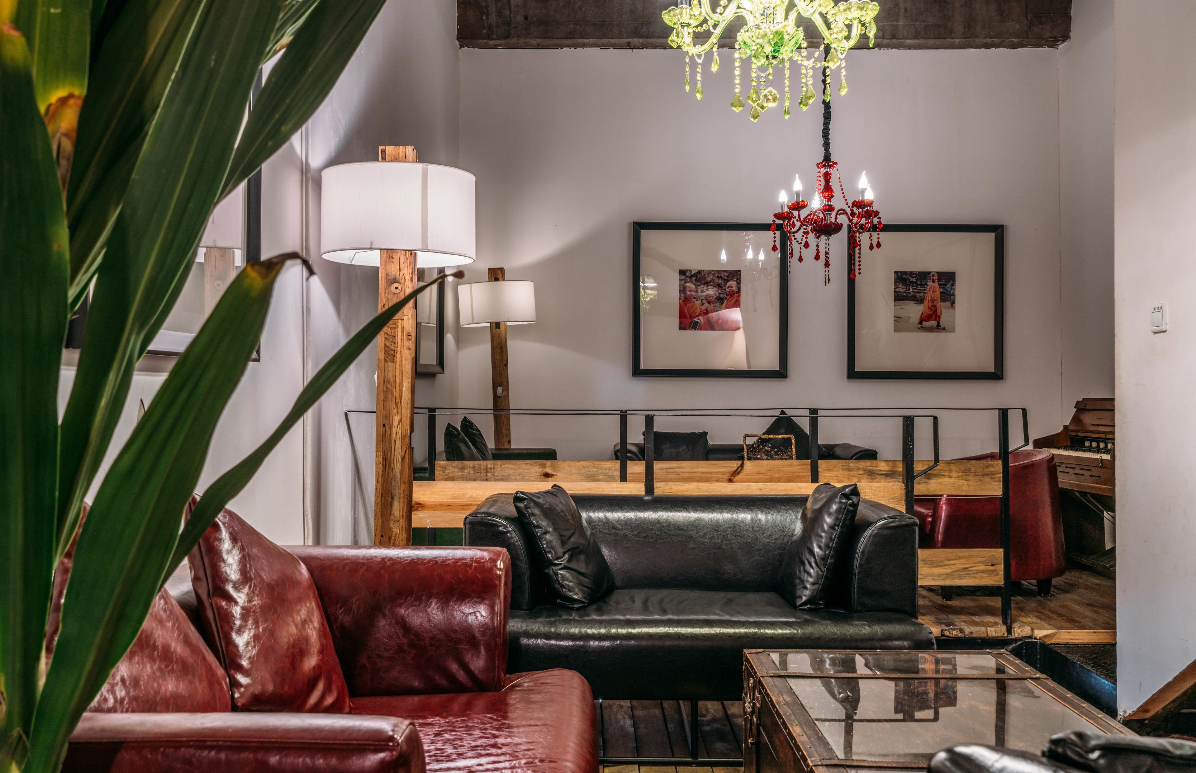 Photo - SONDERIA Lazybones Hostel