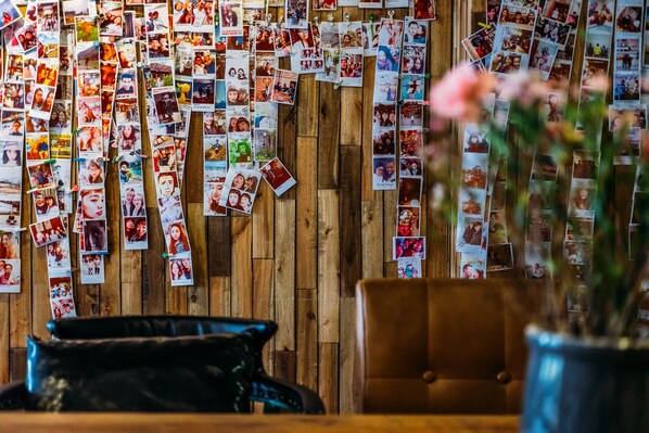 A wall covered with numerous photographs pinned up, a leather chair, and a potted plant. - Chengdu Sonderia Hostel&Bar-Lazybones (Chengdu)