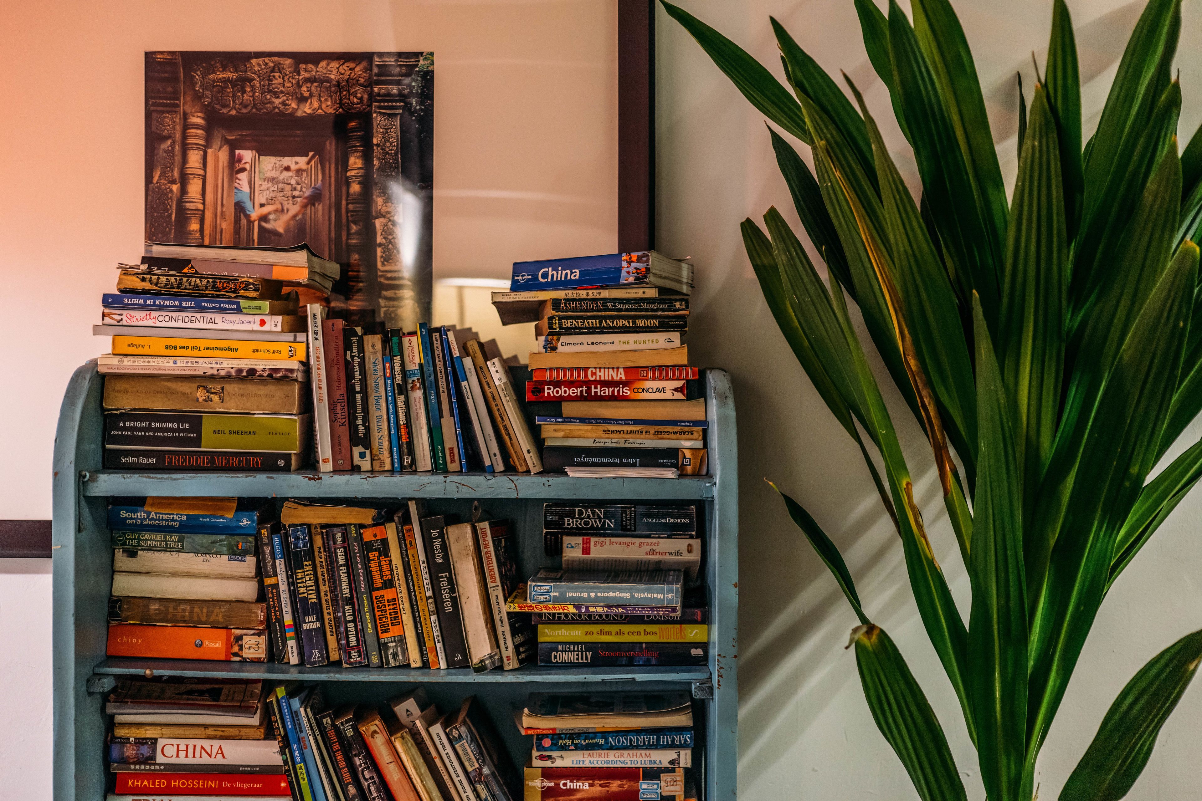 A bookshelf filled with books, including titles like 'China' and 'Robert Harris'.