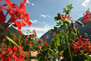 Eine Berglandschaft mit roten Blumen im Vordergrund.
