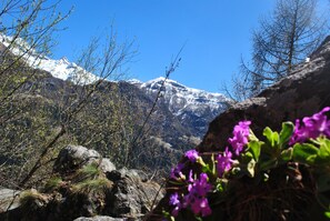Eine gebirgige Landschaft mit schneebedeckten Gipfeln, felsigem Gelände und spärlicher Vegetation.