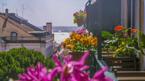 A balcony with potted plants and a view of the sea. - Casinha das Flores (Lisbon)