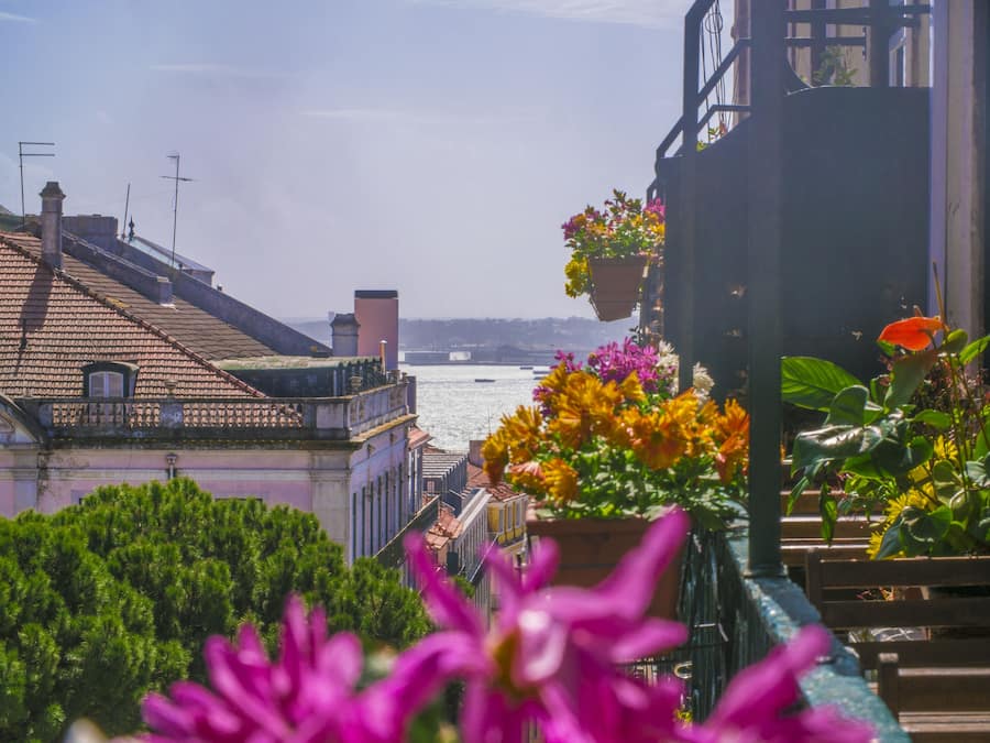 Vistas desde el alojamiento
