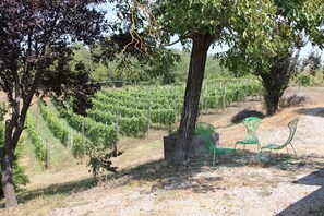 Garden - Villa Cheti (Spigno Monferrato)