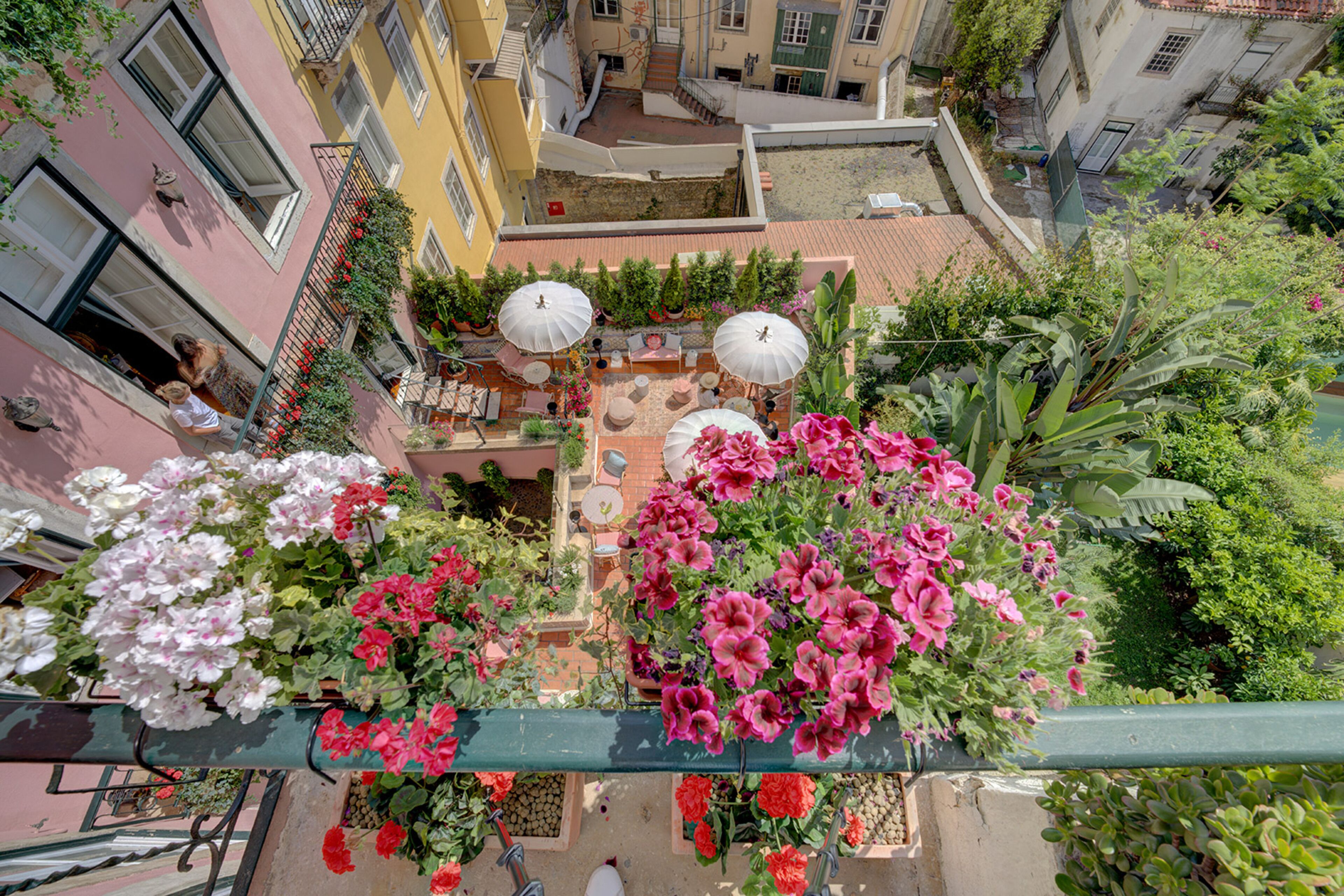A rooftop garden with potted plants and outdoor seating.