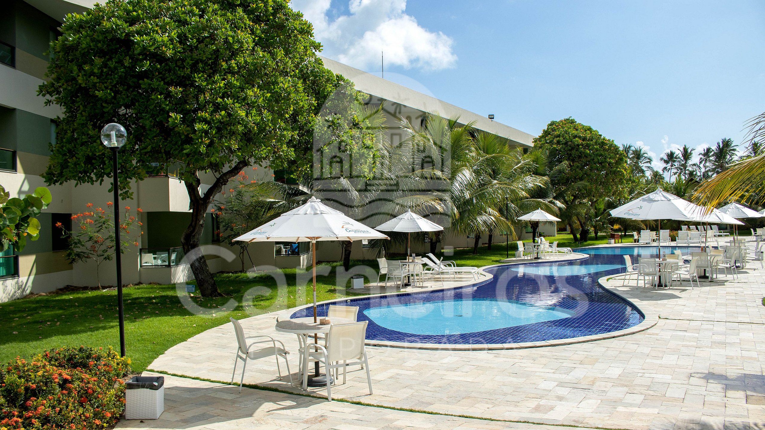 A pool area with lounge chairs and umbrellas, surrounded by greenery and a building.